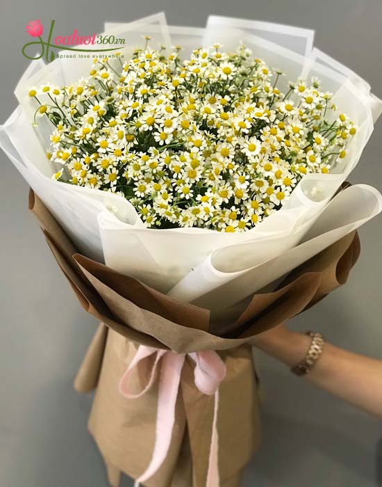 Mua hoa cúc tana để mừng sức khỏe mau bình phục