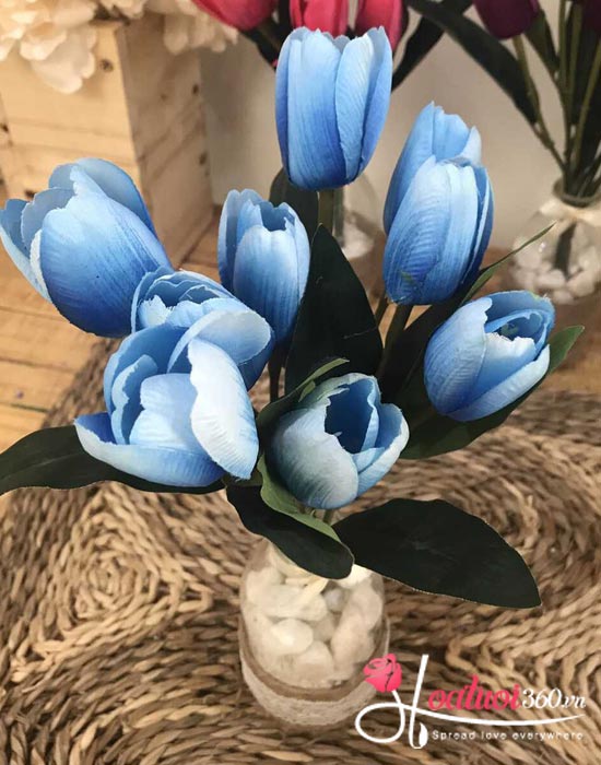 Vài nét cơ bản về hoa tulip xanh