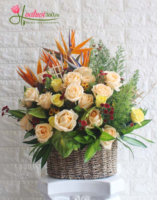 The congratulations flowers baskets brings the most surprises and happiness