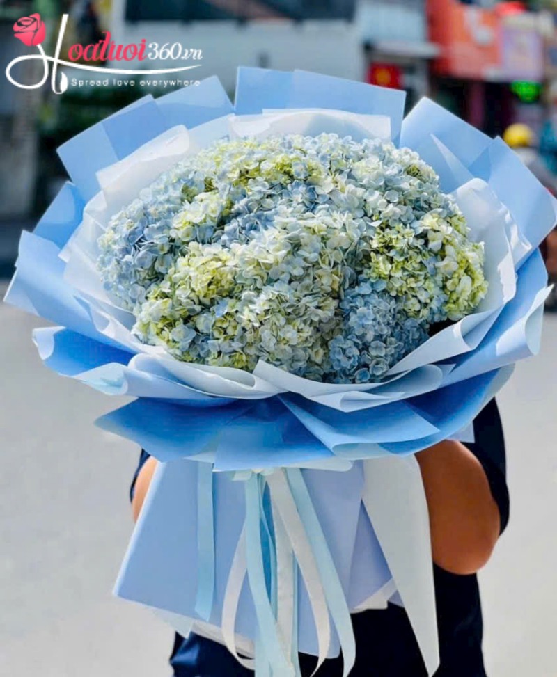 Bó cẩm tú cầu