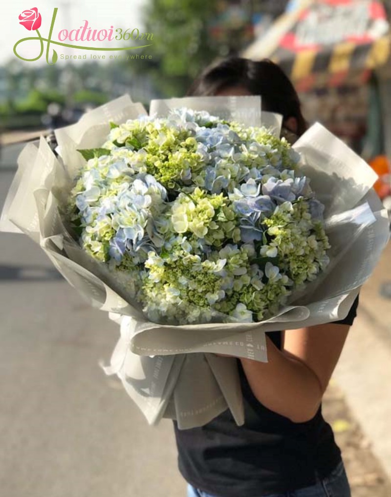 Bó cẩm tú cầu dáng tròn