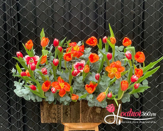 Hộp hoa tulip - Bảng màu đa sắc