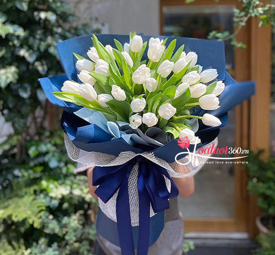 Bó hoa tulip trắng - Đơn giản thuần khiết