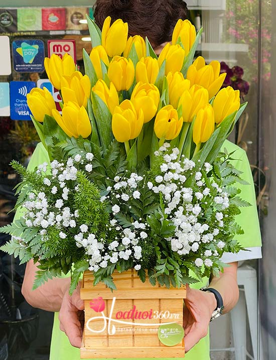 Hộp hoa tulip vàng - Thời kỳ hoàng kim