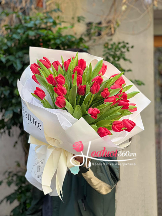Bó hoa tulip đỏ - Yêu đời