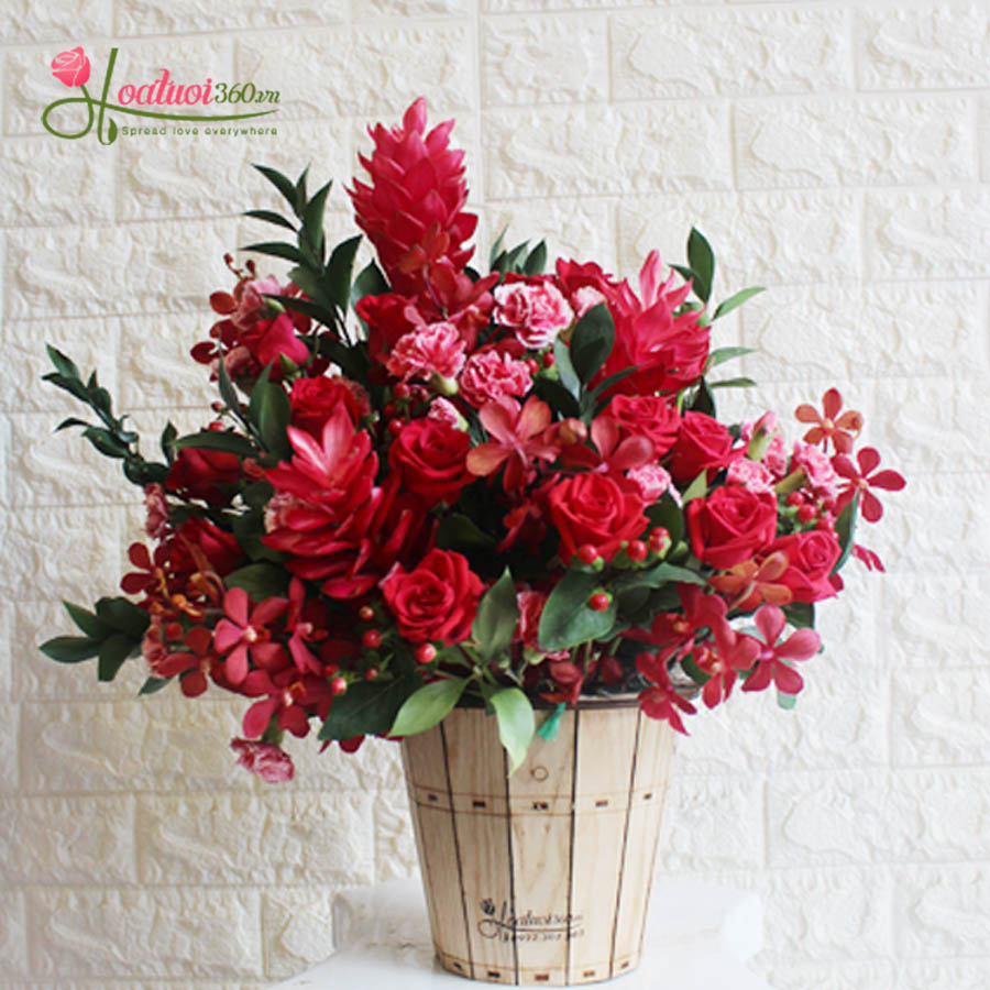 Lẵng hoa lan mokara đỏ mix hồng