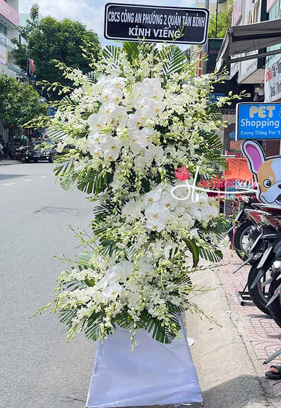 shop hoa tươi Hồ Thị Kỷ - hoa chia buồn