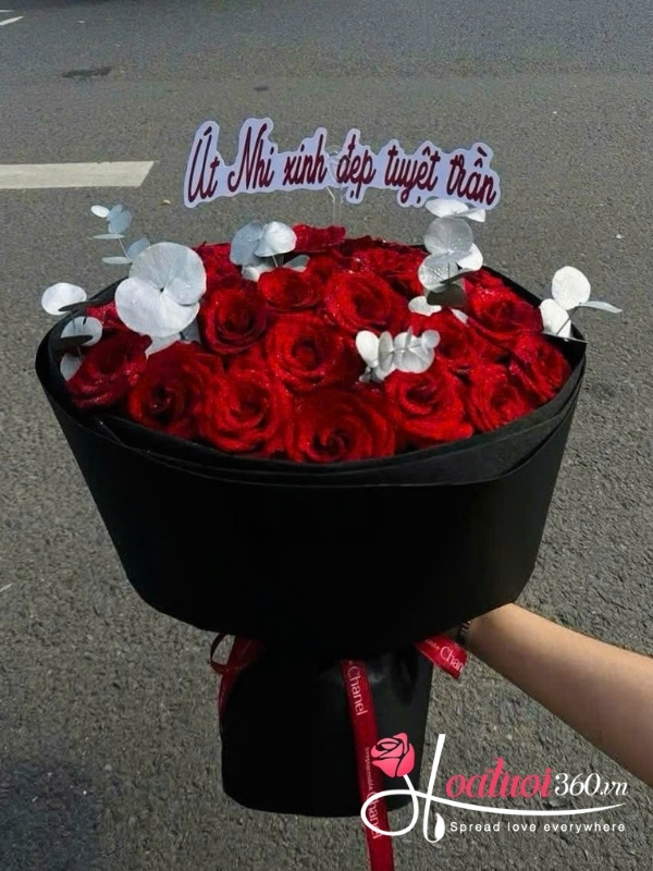Bó hoa hồng đỏ - Dạ khúc thu sang