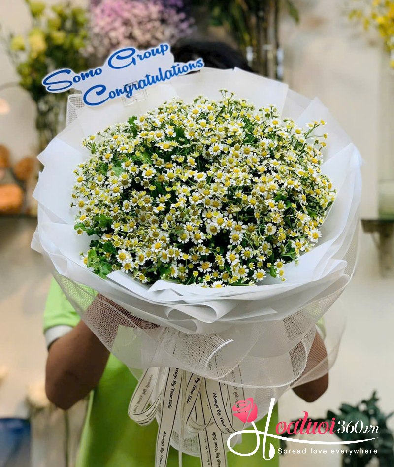 Bó hoa tặng lễ tốt nghiệp cúc tana dễ thương