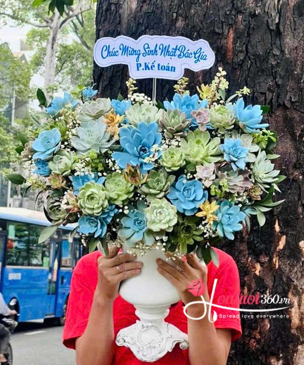 Bình hoa sen đá - Gửi ngàn yêu thương