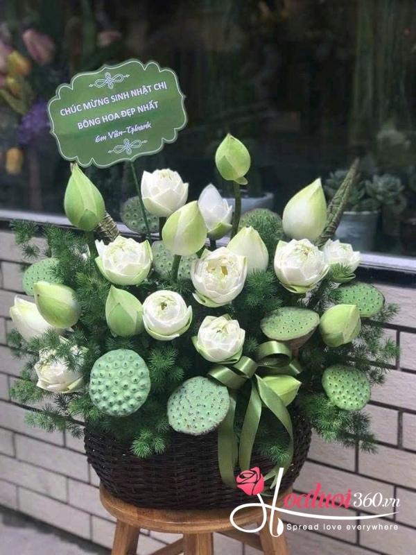 Giỏ hoa sen trắng - An nhiên tự tại