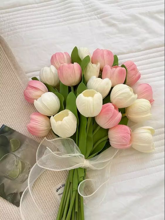 cách bảo quản hoa tulip