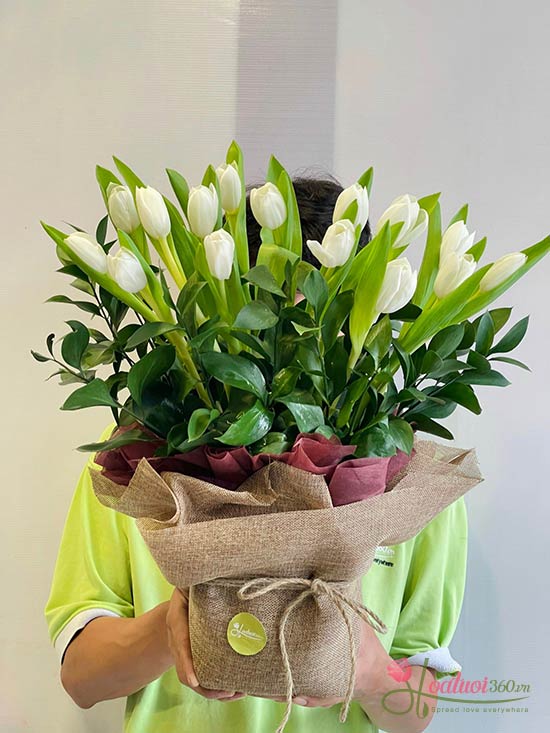 Bó hoa tulip xinh - Cầu bình an