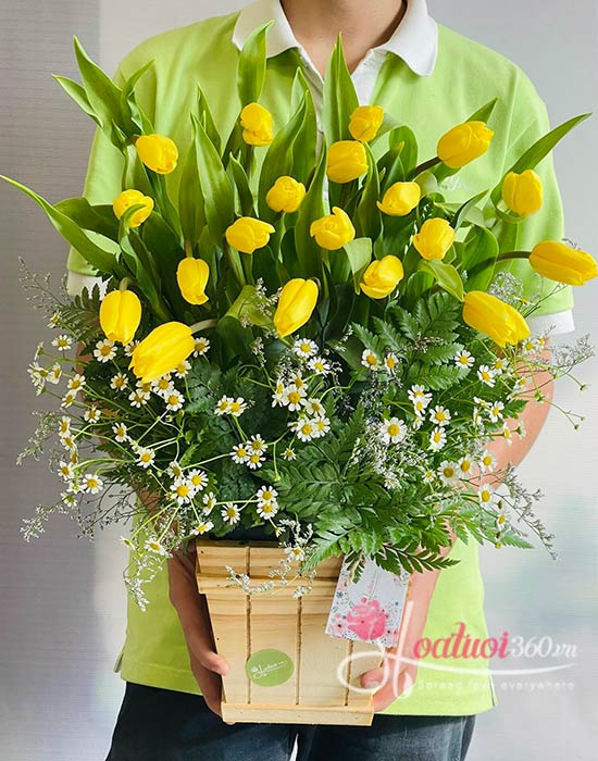 Hôp hoa tulip vàng - Mộc mạc