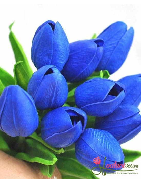 Địa chỉ cung cấp hoa tulip xanh uy tín