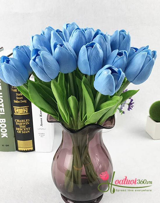 Công dụng của hoa tulip xanh