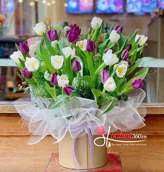 Hoa tulip phù hợp tặng sinh nhật bạn bè