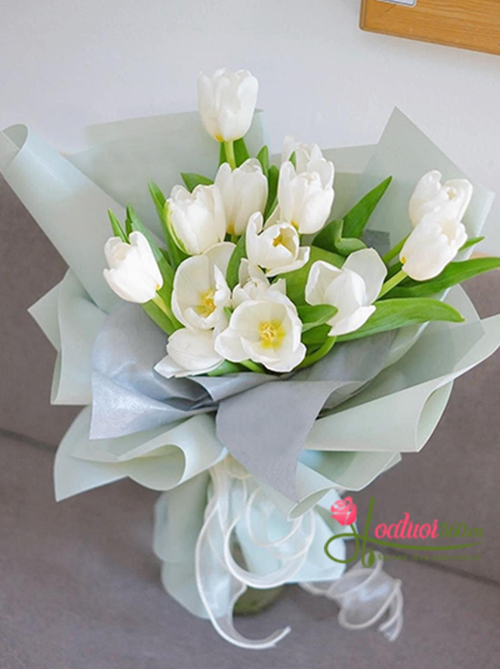 Bó hoa tulip trắng - Nét dịu dàng