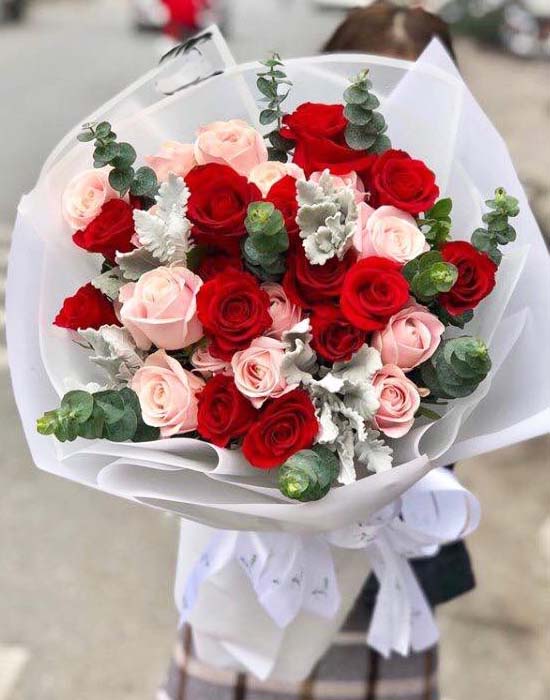 Bó hoa hồng xin lỗi vợ