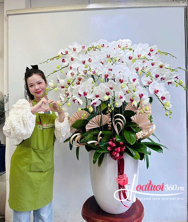Chậu lan hồ điệp trắng - Vững bền tài lộc