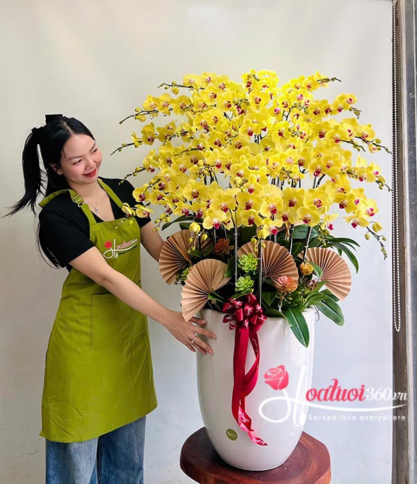 Chậu lan hồ điệp vàng - Trọn đời an khang