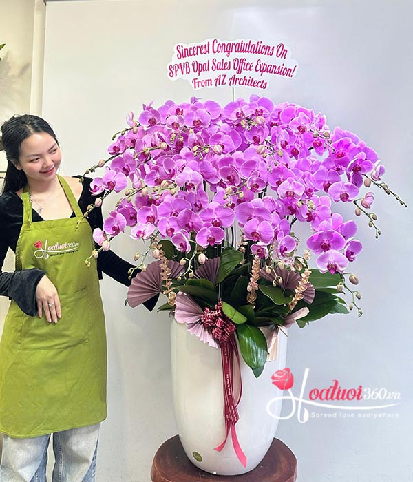 Chậu lan hồ điệp hồng - Ngọc sắc an khang
