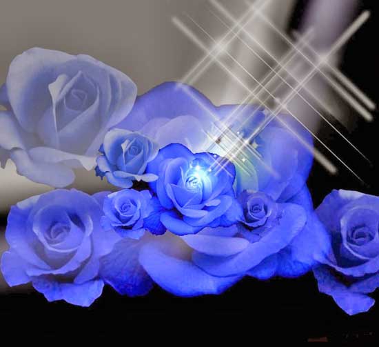 Hoa hồng xanh bất tử đẹp