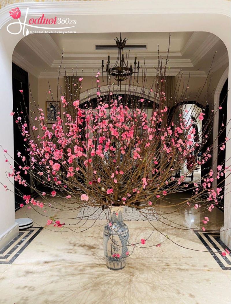 hoa đào là biểu tượng của sinh sôi, nảy nở