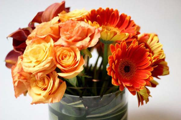 Bình hoa hồng màu cam cùng những loại hoa khác