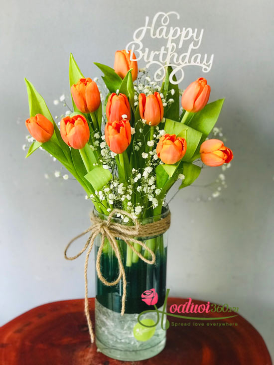 Bình hoa Tulip cam - Toả nắng