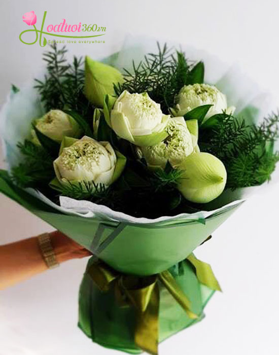 Bó hoa sen trắng đẹp nhất