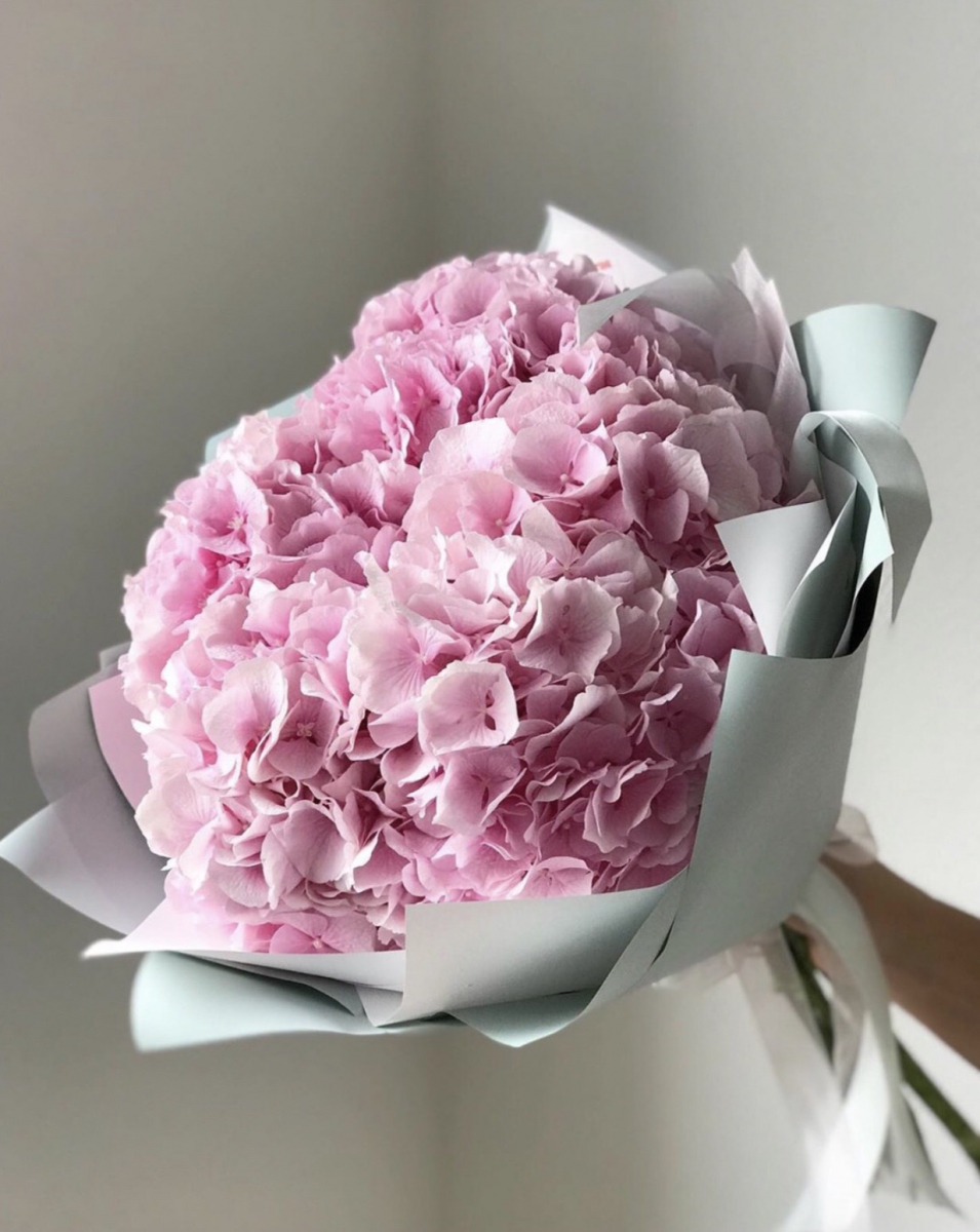 Bó hoa cẩm tú cầu hồng