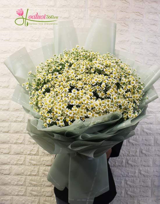 Hoa Tươi 360 là nới bán những mẫu hoa cúc tana giá rẻ