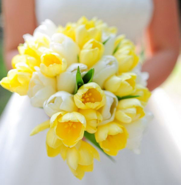 Hoa tulip vàng được dùng hoa cầm tay cô dâu