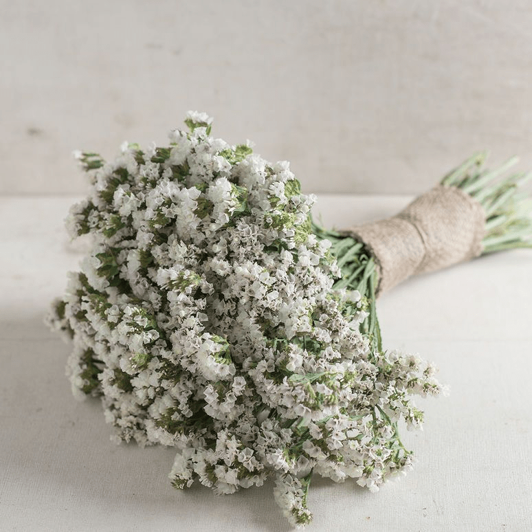 Bó hoa cưới salem trắng