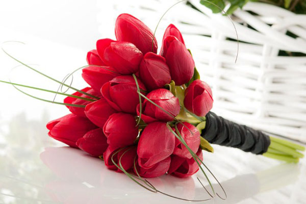 Hoa tulip đỏ tặng 20/10 tặng người phụ nữ bạn yêu