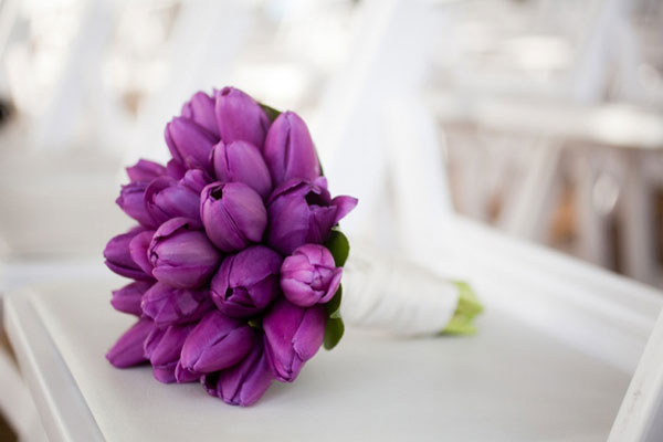 Bó hoa tulip màu tím vẻ đẹp bí ẩn