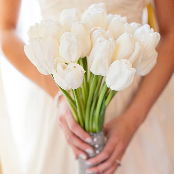 Hoa bó tulip màu trắng cầm tay cô dâu xinh đẹp 