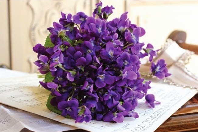 Bó hoa violet tím tặng người mình thương