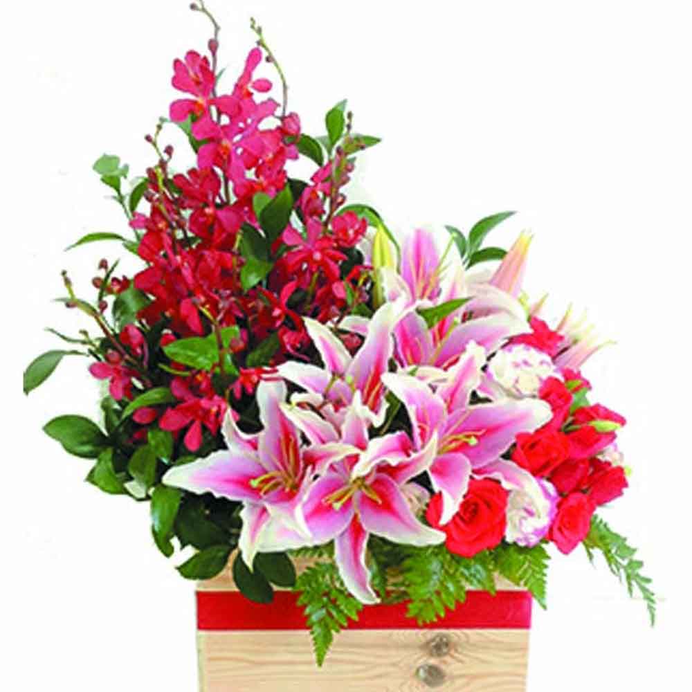 Trên thị trường đang bày bán rất nhiều loại hoa chưng Tết đẹp nhất