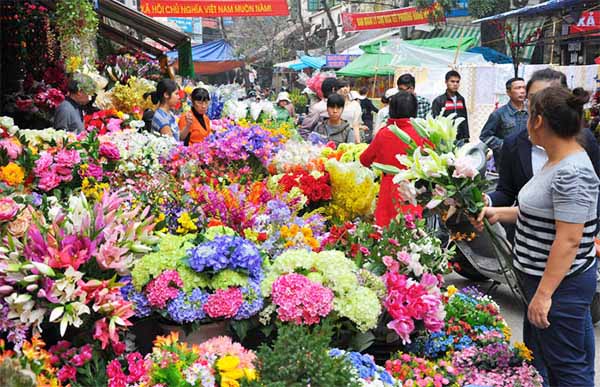 Các loại hoa đẹp ngày Tết được bày bán khá nhiều ở các vườn, chợ