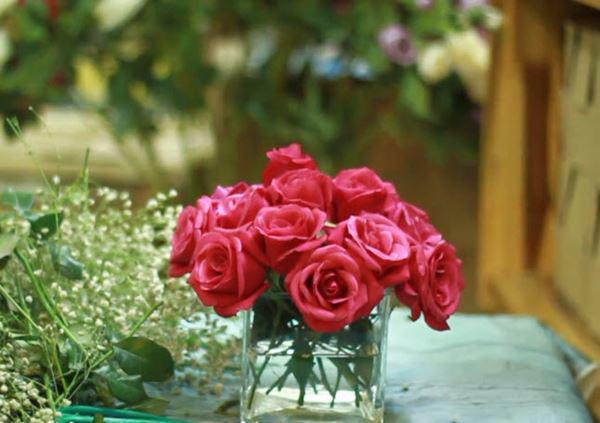 cách cắm hoa hồng trong giỏ | Blog Cây Cảnh