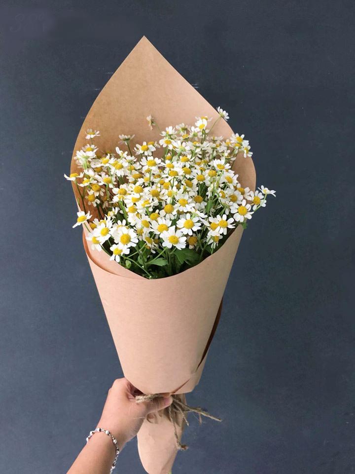 Những đóa hoa Cúc Tana mang hương đồng cỏ nội đến với nơi phố thị