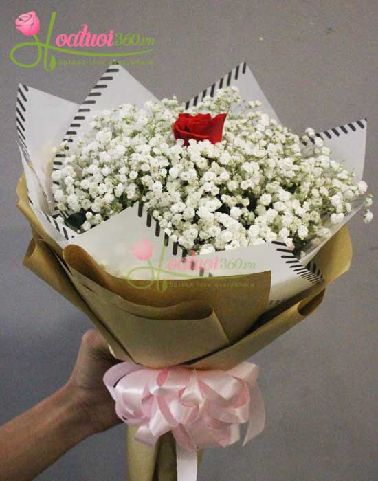 Bó hoa baby trắng cùng với một hoa hồng đỏ