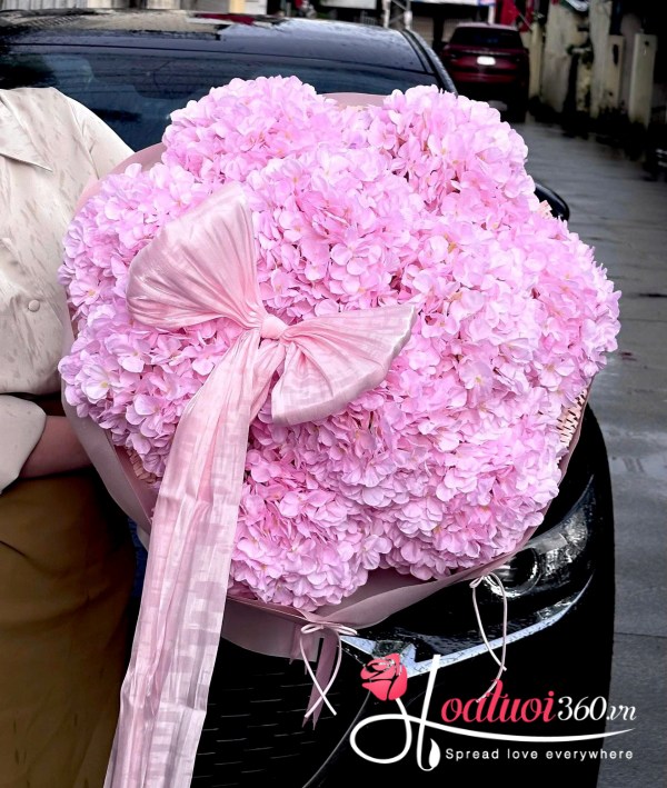 Cẩm tú cầu - Mãi bên em