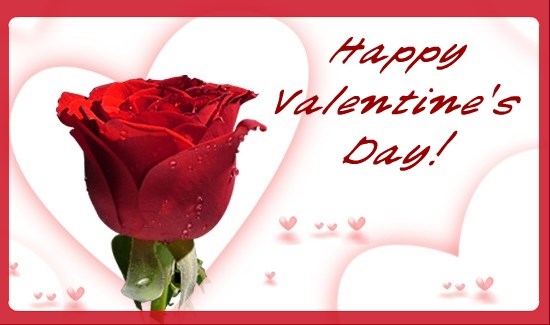 hoa 1 bông trong ngày valentine hoa 1 bông trong ngày valentine
