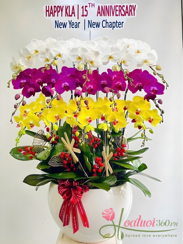 Chậu lan hồ điệp kết hợp 15 cành - Vươn tầm khát vọng