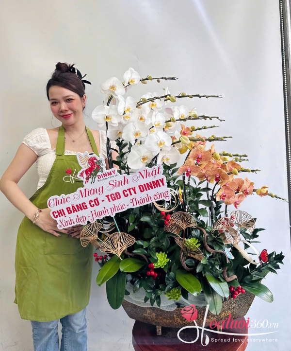 Lan hồ điệp kết hợp - Vượt khơi