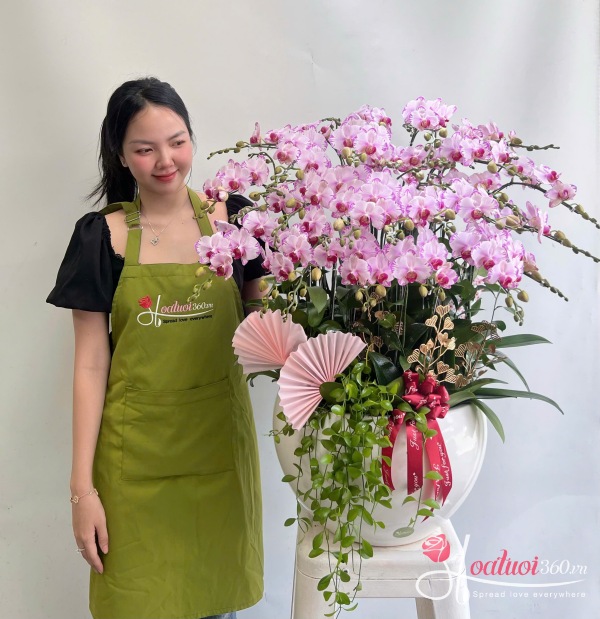Chậu lan hồ điệp mini - Năng lượng bứt phá