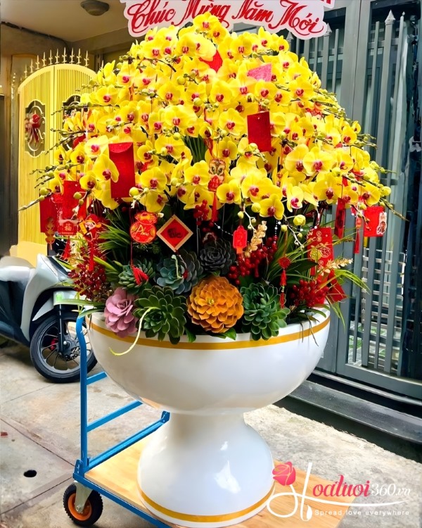 Chậu lan hồ điệp Tết 79 cành - Bạch lộc trường xuân